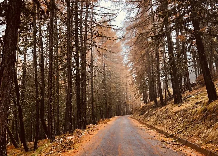 Apartment La Maison Du Faux Monneyeur